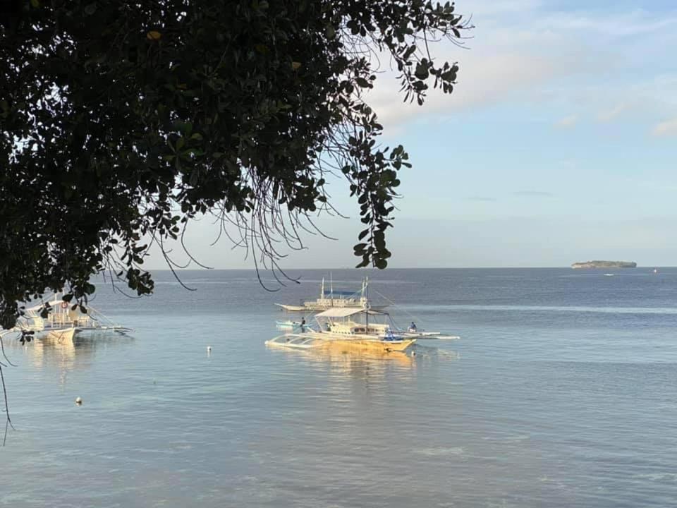 Pescador View - Beachfront & Nearby The Ocean Hostels & Restaurant Moalboal Eksteriør billede